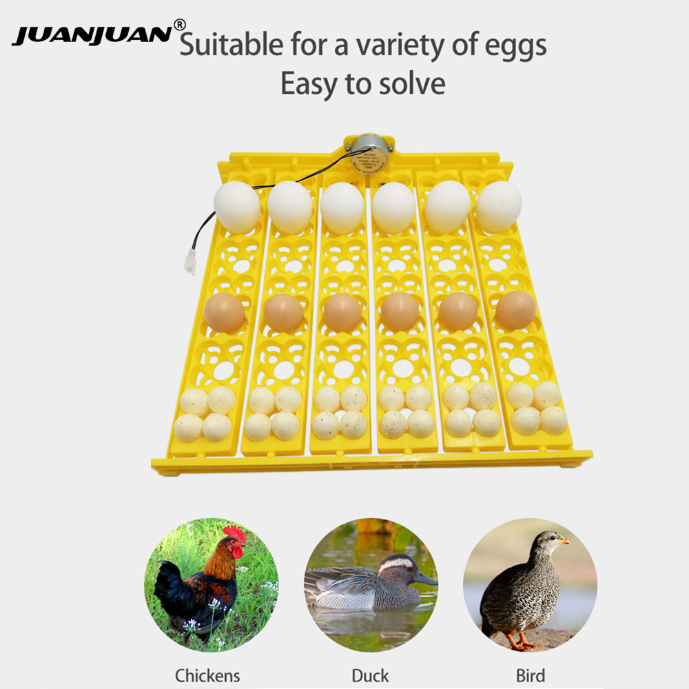 Embroidery Egg - 24 Eggs Tray Incubator Turner Automatically