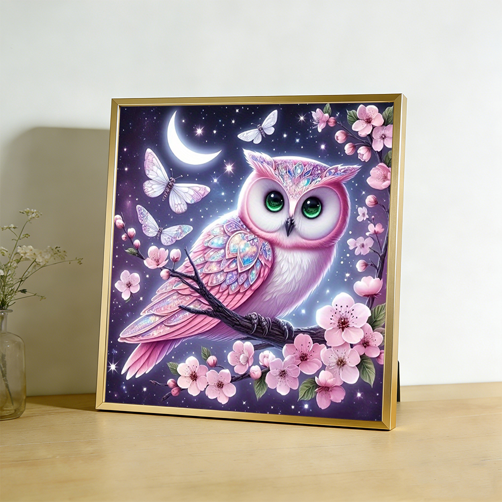 Cross Embroidery Kits Owl Anim - Embroidery Guide Paper review and price