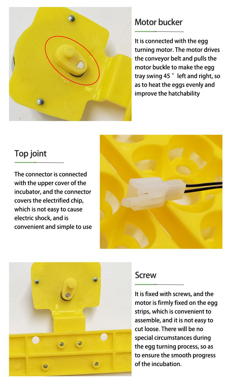24 Eggs Tray Incubator Turner  - Embroidery Egg review and price